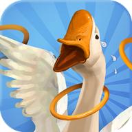 我用圈圈搂大鹅无限金币版