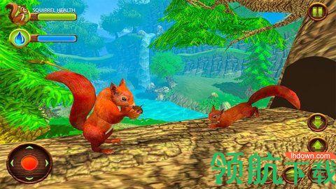 野生松鼠模拟器官方版截图0