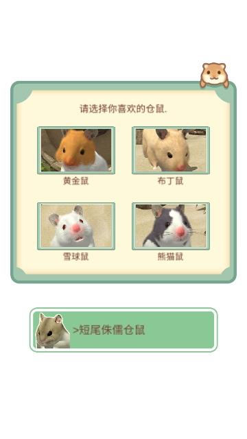 我的仓鼠无限金币版截图1