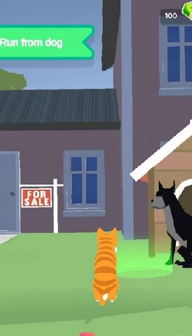 顽皮猫模拟器游戏正式版截图0