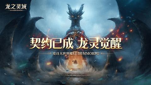 龙之灵域无限金币版截图1