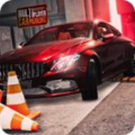 多人停车场真实3D游戏手机版