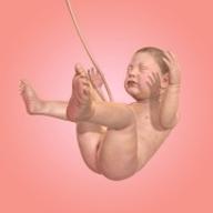 9个月游戏中文最新破解版