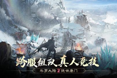 斗罗大陆2绝世唐门安卓版截图2