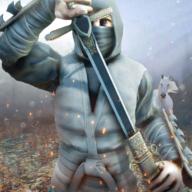 忍者刺客格斗游戏中文版