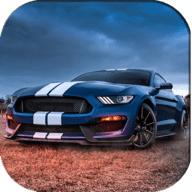 野马驾驶停车官方版