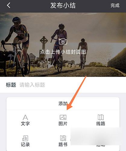黑鸟单车官方版