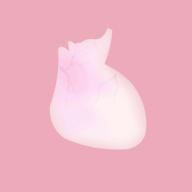 生命人体模拟器中文安卓版