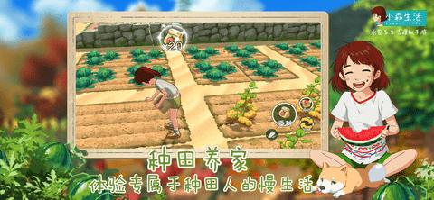 小森生活台服最新版截图3