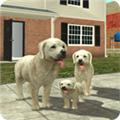 Dog Sim 最新版v213