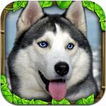 流浪狗模拟器