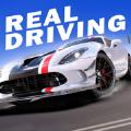 真实公路汽车2内购解锁版