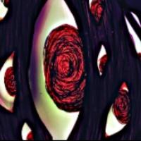 脑叶公司手机版9