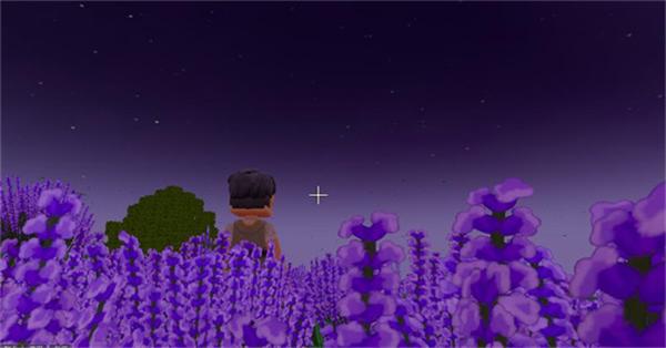 龙与家园时光图11