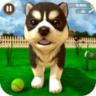 虚拟小狗模拟器游戏安卓版