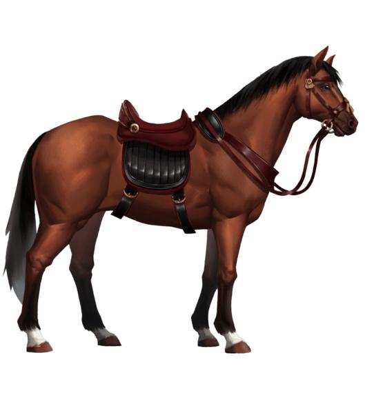 黎明之海图片18