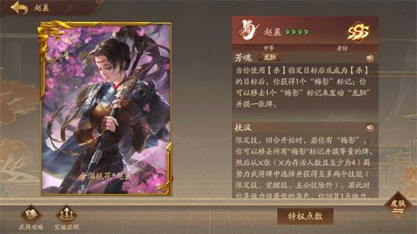 三国杀十周年21