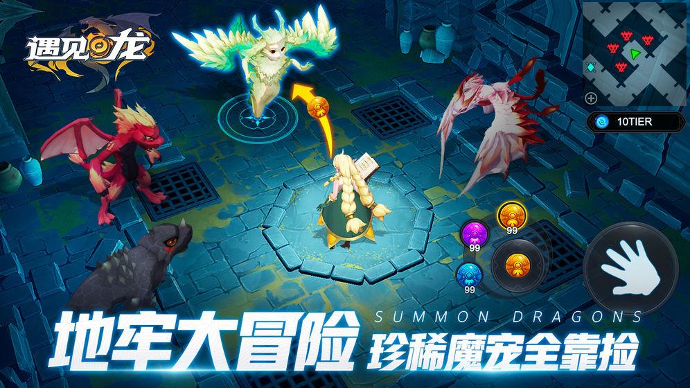 遇见龙内购解锁版截图2