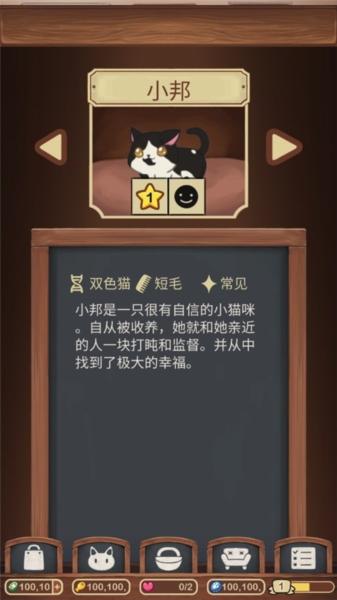 绒毛猫咖啡厅6