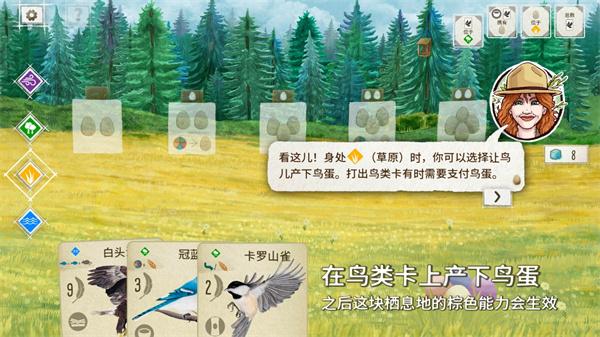 展翅翱翔7