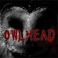 OWLHead复原 安卓版v1.0.1