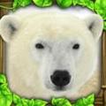 北极熊模拟器 (PolarBearSim)安卓版v1.0