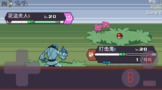 宝可梦肉鸽妖梦9