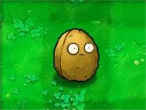 植物大战僵尸图片5