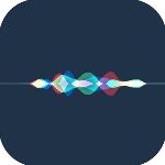 信息霍乱时期的爱情