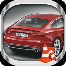 停车模拟器中文版