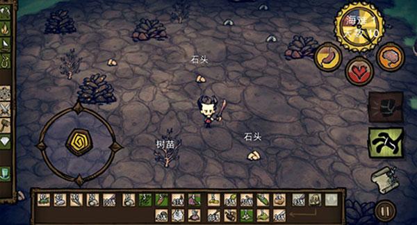 饥荒海滩图片19