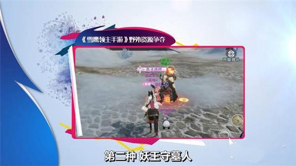 雪鹰领主图片13