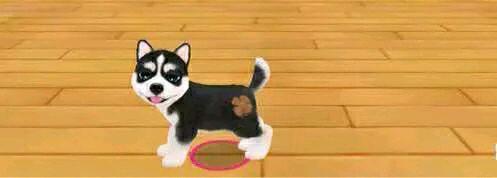 晴天小狗2官方版2