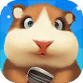 仓鼠岛 安卓版1.0.1