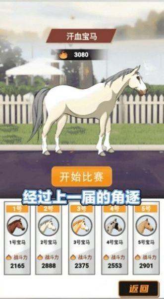 金牌驯马师模拟经营游戏 安卓版v1.0.1截图2