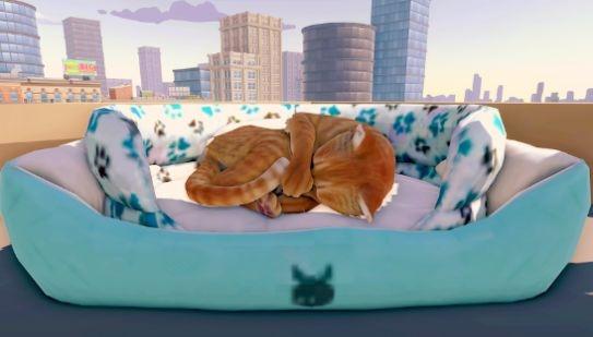 猫咪历险记大都市1