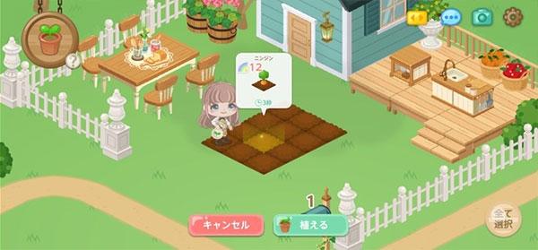 城市中的可爱花园5