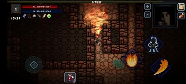 口袋盗贼终极版 汉化版v1.34截图0