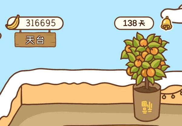 住客大人的心愿8