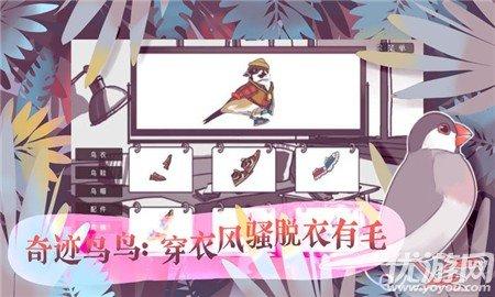 咕啾文鸟恋爱物语中文版截图2