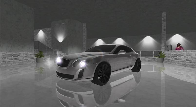 欧洲豪华轿车v2.57截图0