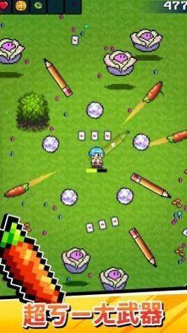 这是武器吗截图1