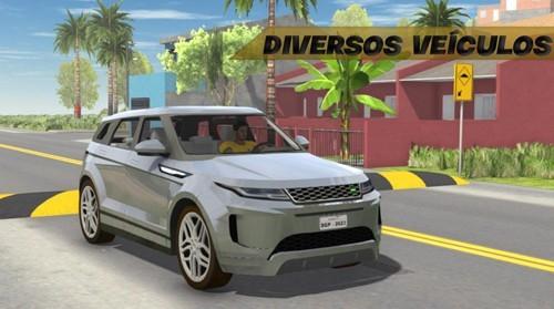 巴西汽车生活图片2