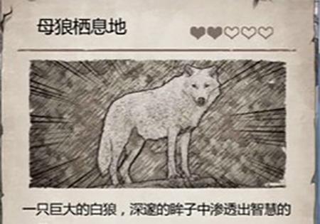 荒野日记孤岛图片6