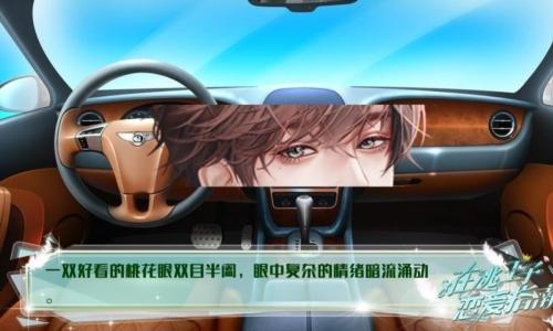 在逃王子恋爱指南图片1