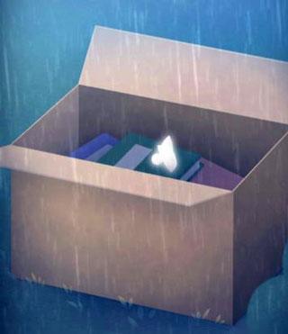 迷失猫咪的旅程17