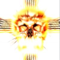 脑叶公司手机版3