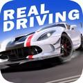 真实公路汽车2中文版 安卓版v1.1.4.406.401.0602