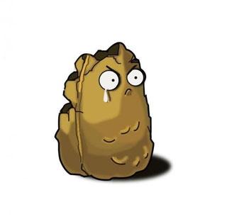 植物大战僵尸无限阳光版11