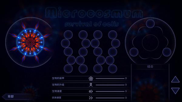 microcosmum6